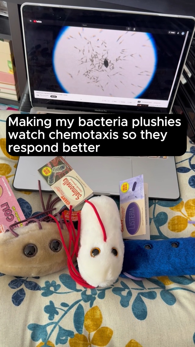 Amazon.com: GIANTmicrobes E. Coli Plush, Microbiology Gifts